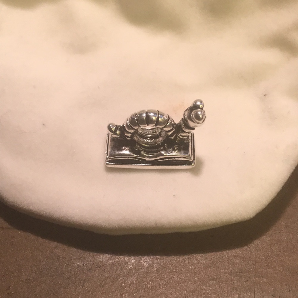 Charm - Picture 2 of 6